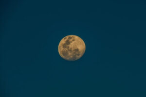 e24c762c08c405077d3d687c3006c912.jpg