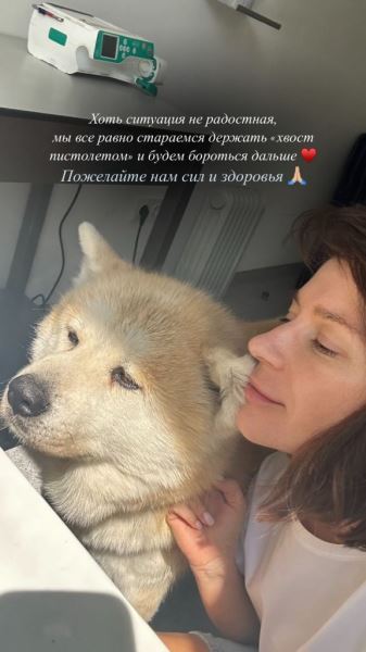 Екатерина Волкова борется за жизнь питомца, больного раком