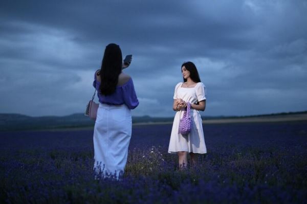 Места для самых лучших фотографий. В Крыму цветут лавандовые поля5